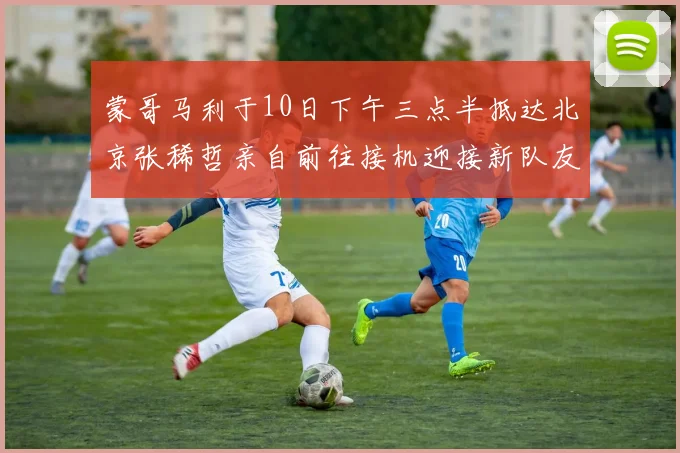 蒙哥马利于10日下午三点半抵达北京张稀哲亲自前往接机迎接新队友